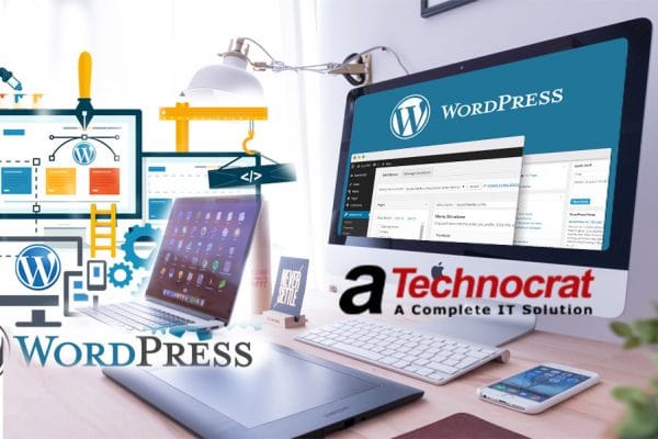 Wordpress for Website