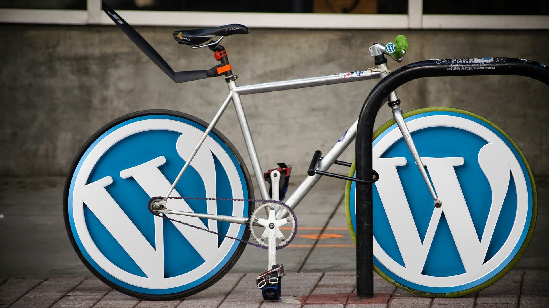 Website Designing Services